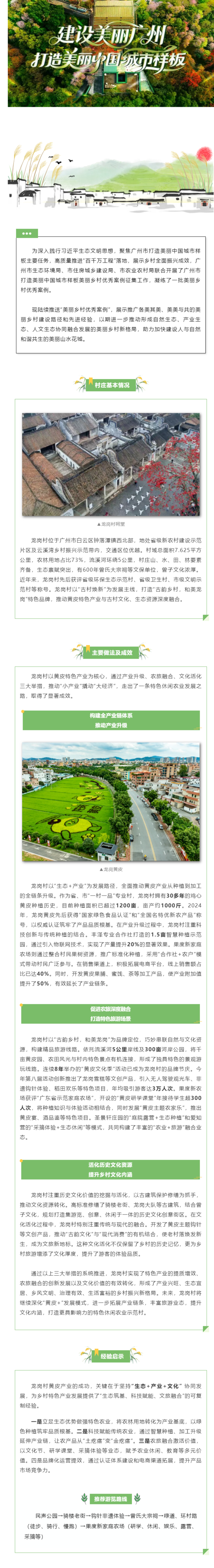 美丽乡村优秀案例（10）_ 白云区龙岗村：小黄皮激活大产业，“三链”协同织就振兴新图景.png